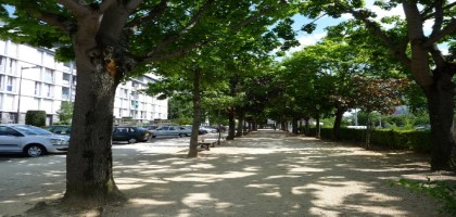 tramway-tours-trame-verte